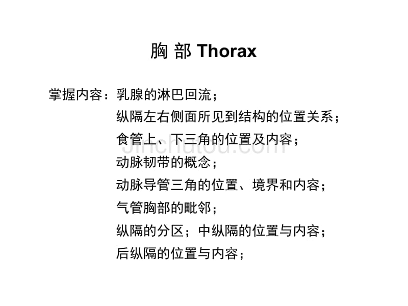 哈尔滨医科大学系统解剖学_胸部(thorax)_第1页