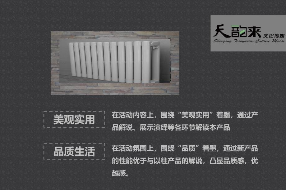 某品牌暖气新品发布会策划方案_第5页