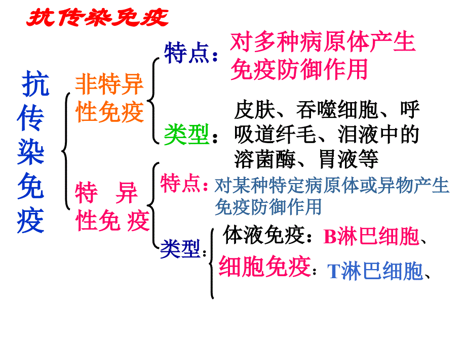 九年级科学探究题专向练习_第3页