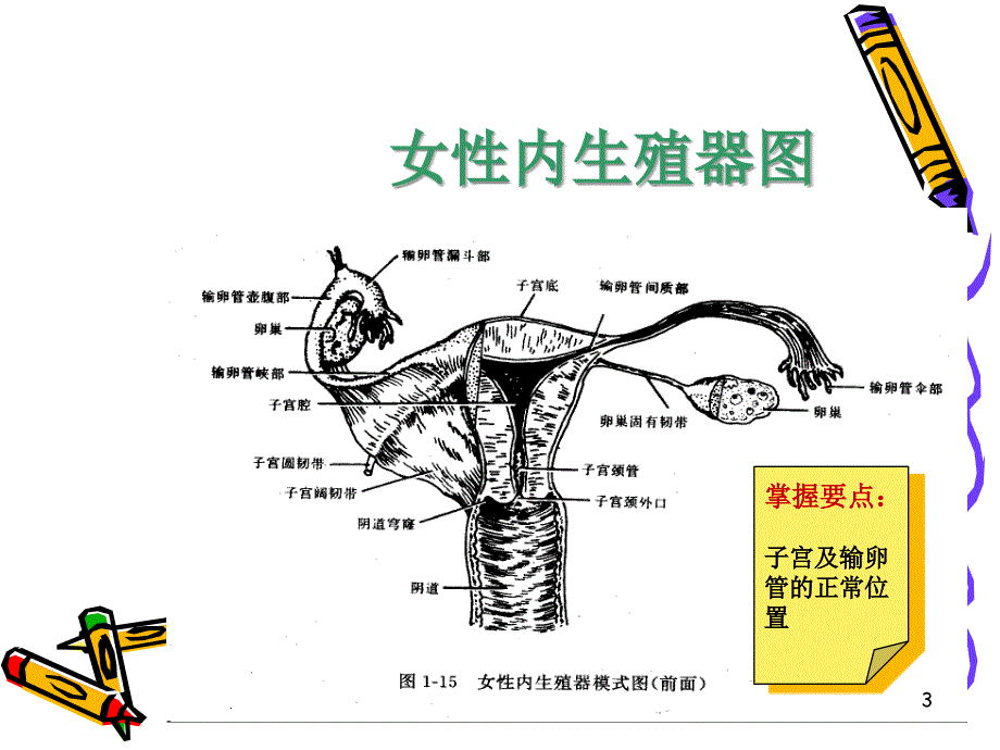 输卵管妊娠课件_第3页