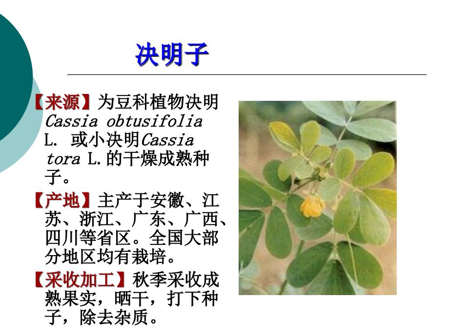 果实种子类2教学课件_第1页