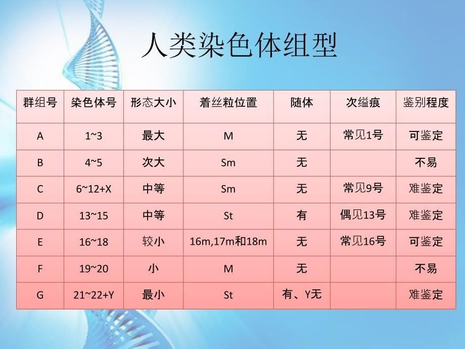 细胞生物学自主实验_第5页