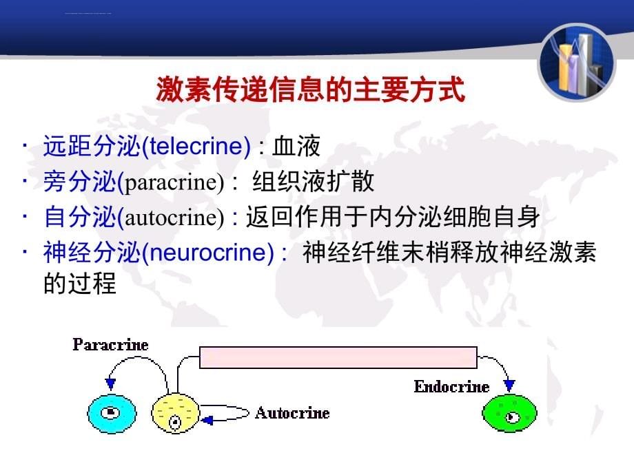 生理学临床医学chapter11-内分泌课件_第5页