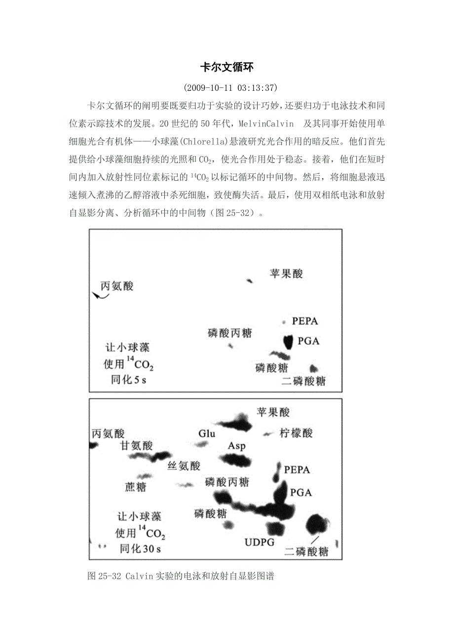 卡尔文循环发现史_第1页
