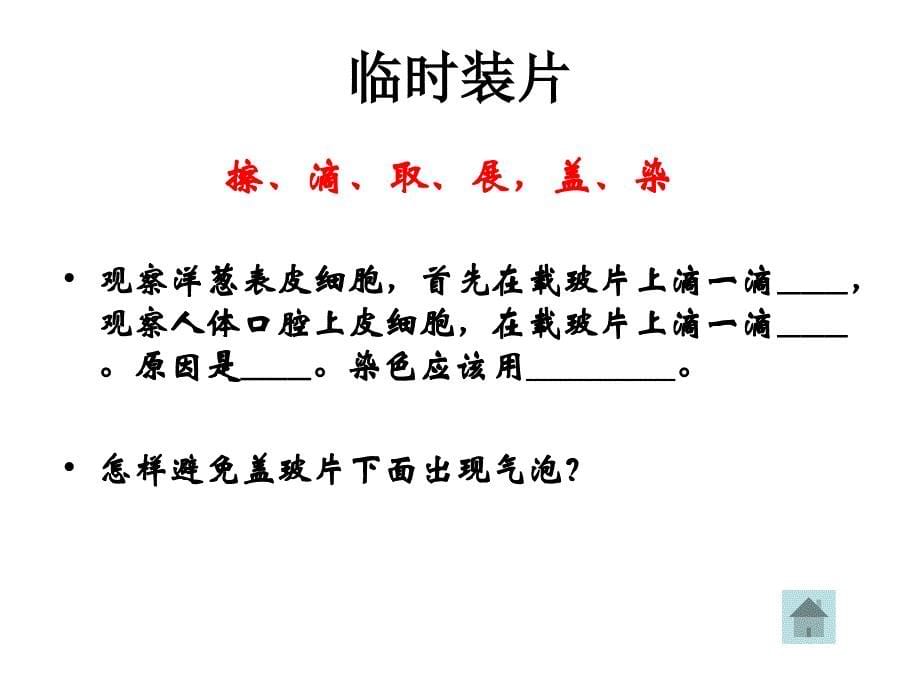 七年级科学生物体的结构层次_第5页