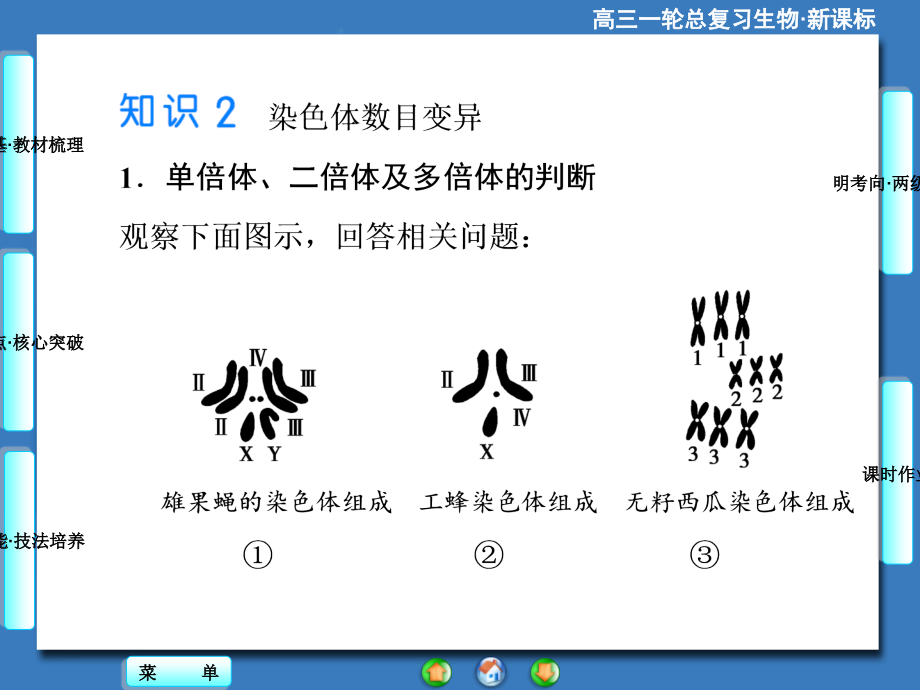 2015《课堂新坐标》高考生物大一轮复习配套课件：必修2-第3单元-第2讲 染色体变异和人类遗传病_第4页