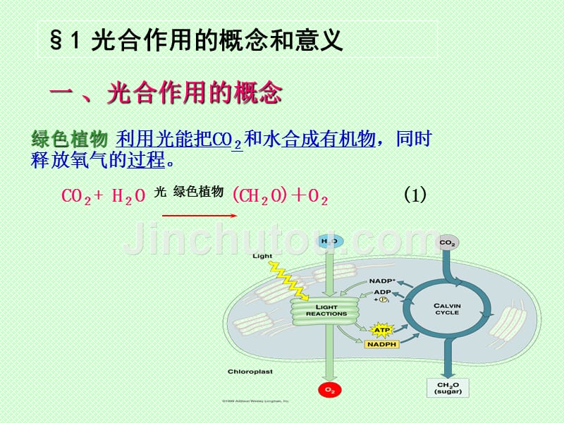 园林植物光合作用及应用_第2页