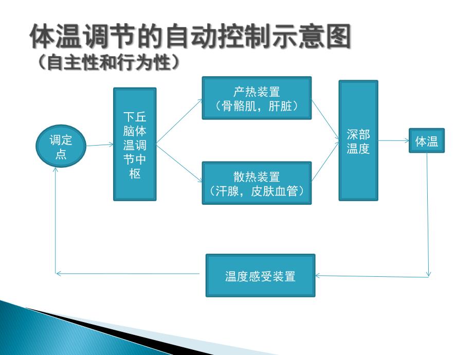 麻醉期间的体温管理(新版)课件_第3页