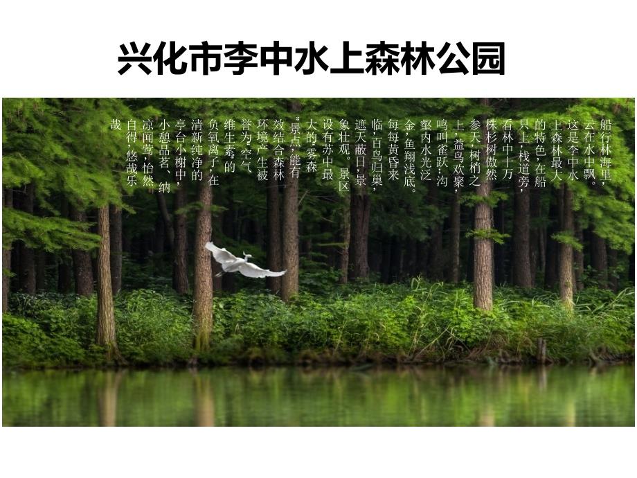 太和--李中水上森林公园水体生态修复汇报_第2页