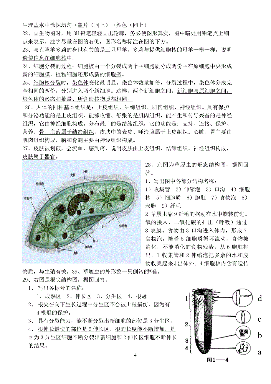 七年级上期生物复习提纲1_第4页