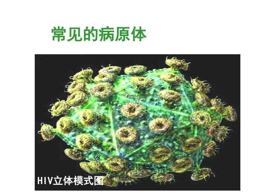 人教版八年级生物下册课件：8.1.1  传染病及其预防(共34张ppt)_第2页