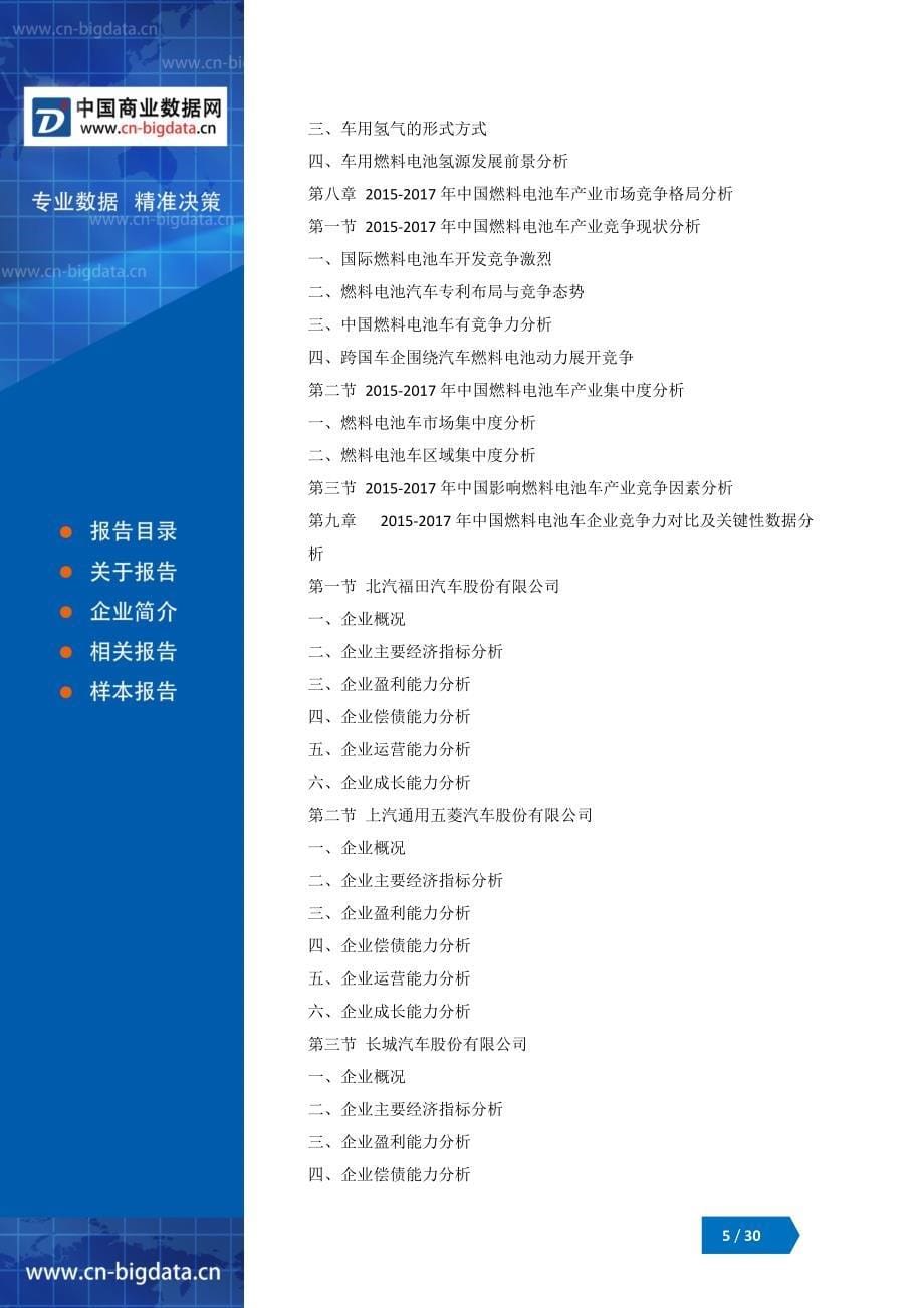 2018-2023年中国燃料电池汽车行业市场深度调研分析与投资机会研究报告_第5页