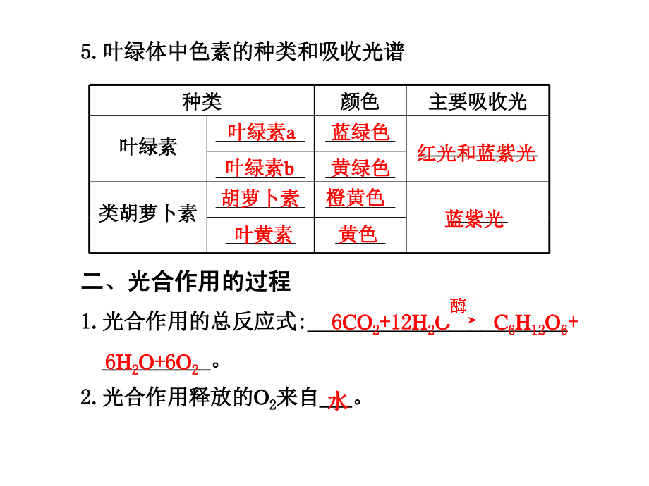 第10讲  光合作用_第3页
