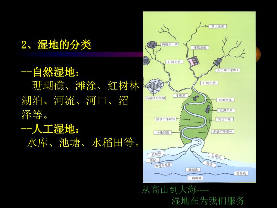 上庄湿地公园(新版)_第4页