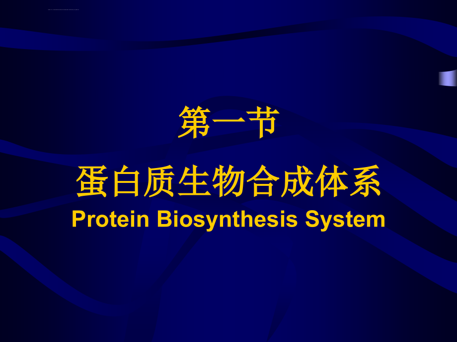 11 蛋白质的生物合成_第4页