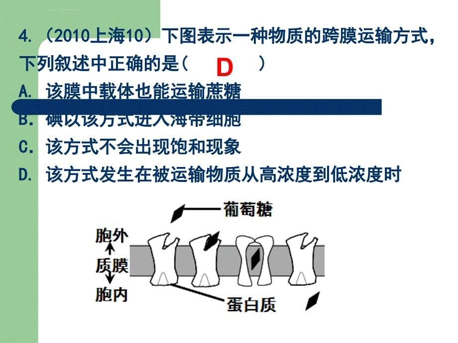 2007-2011生物高考题分类汇编(课件)：必修1专题5物质跨膜运输的方式_第5页