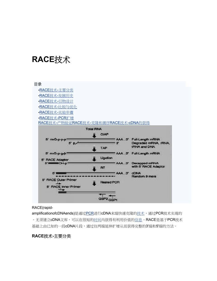 PCR技术相关知识_第5页