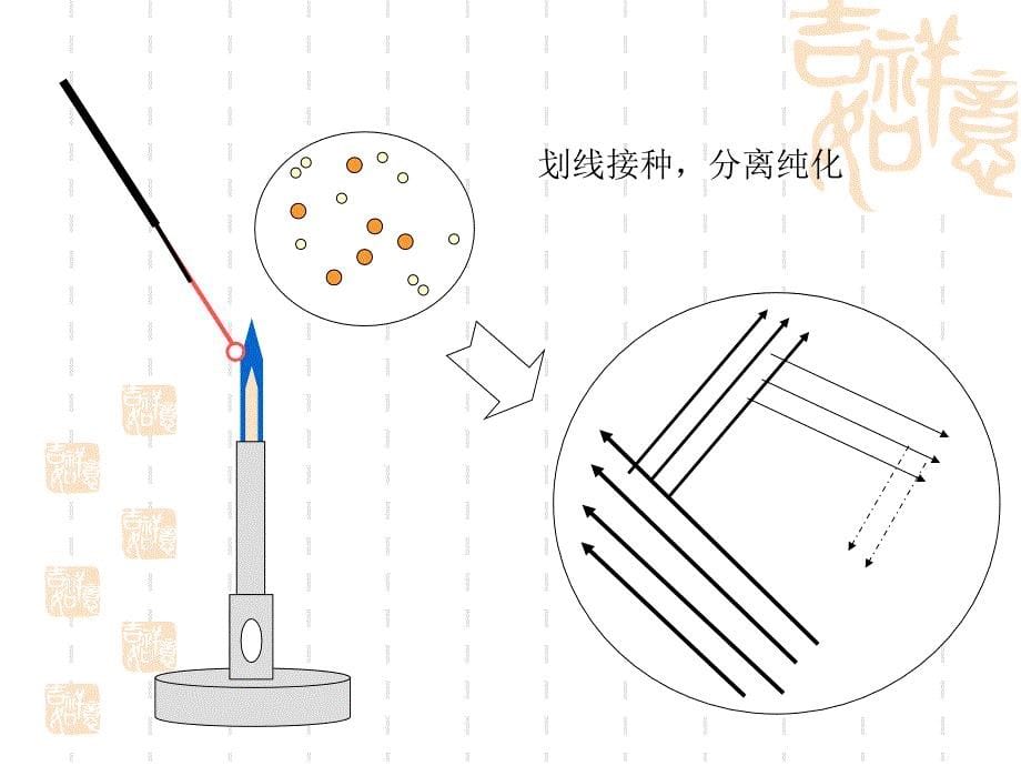 生物学  食品微生物鉴定技术和方法_第5页