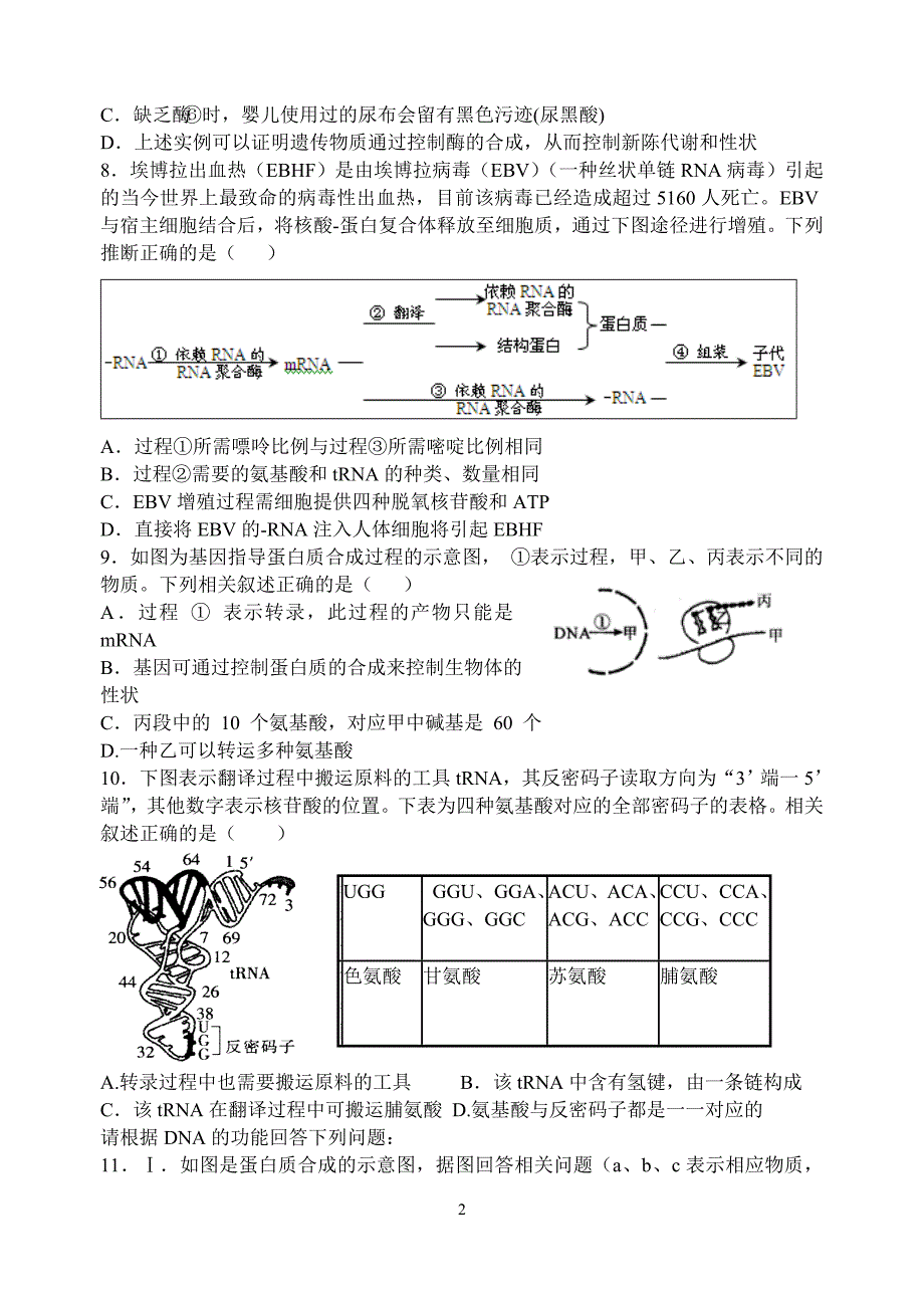 遗传物质基础专题测试_第2页