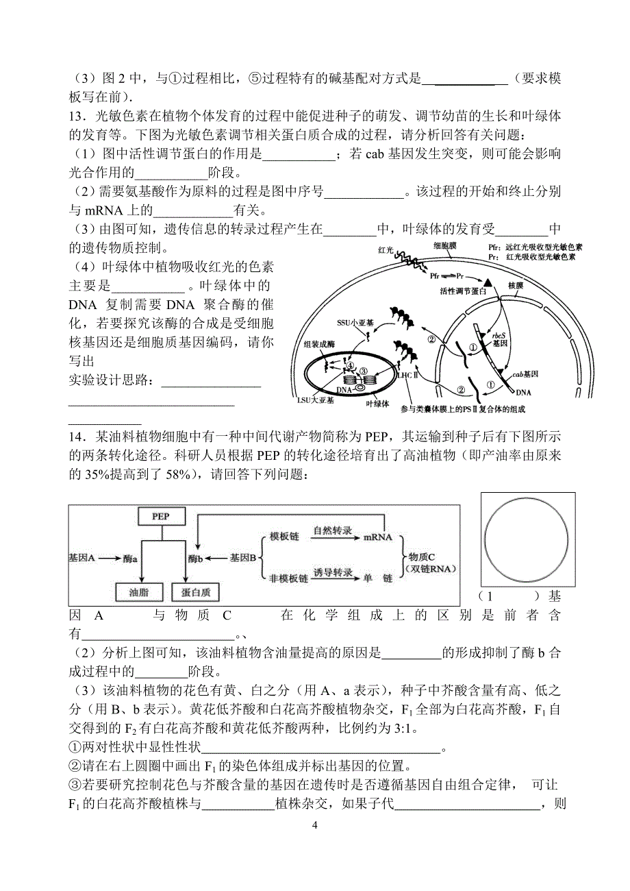 遗传物质基础专题测试_第4页