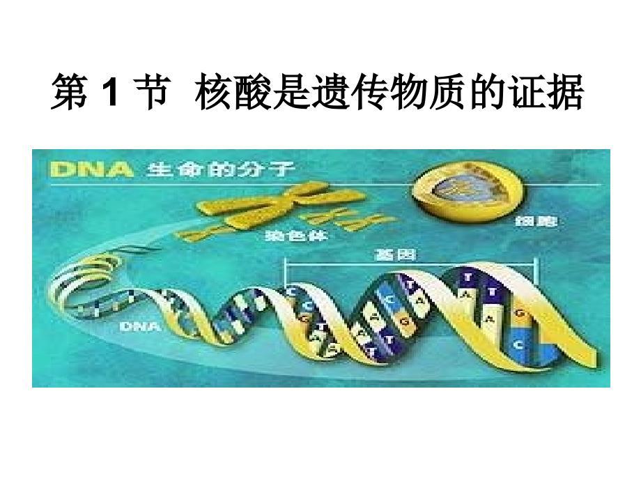 高二生物核酸是遗传物质的证据
