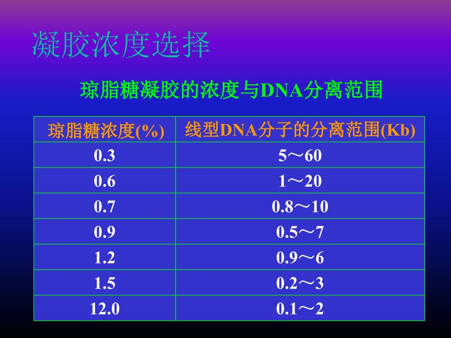 PCR 扩增产物的分析_第4页