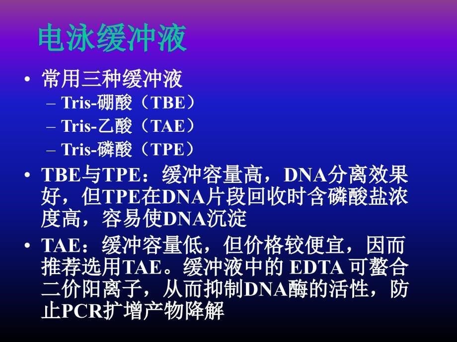 PCR 扩增产物的分析_第5页