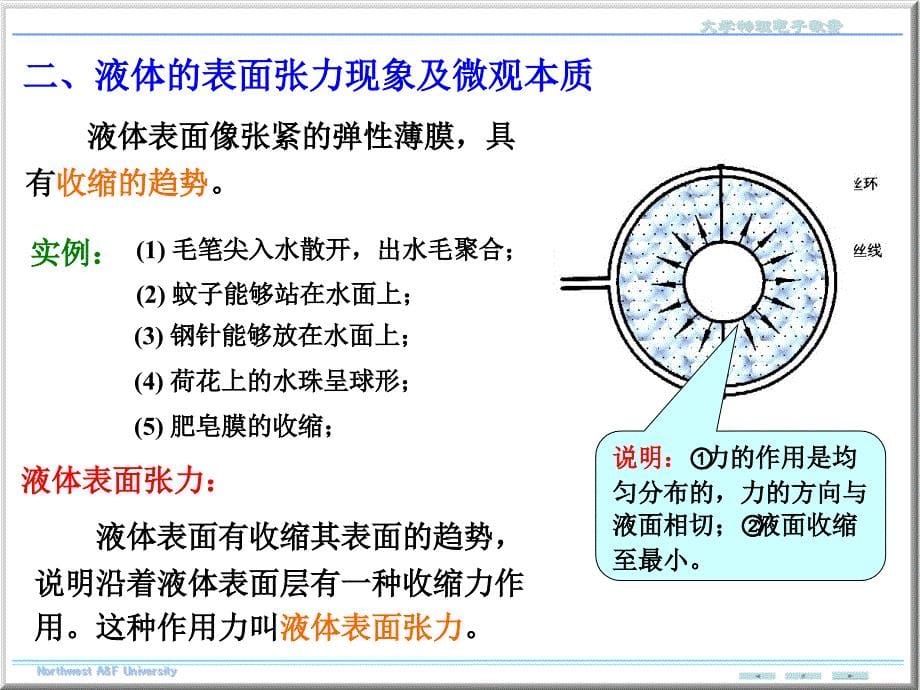 液体的表面现象_第5页