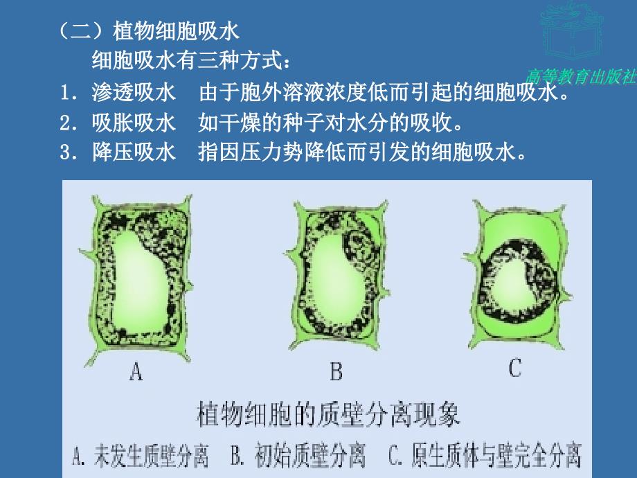 植物生产与环境第四章---植物生产与科学用水_第4页