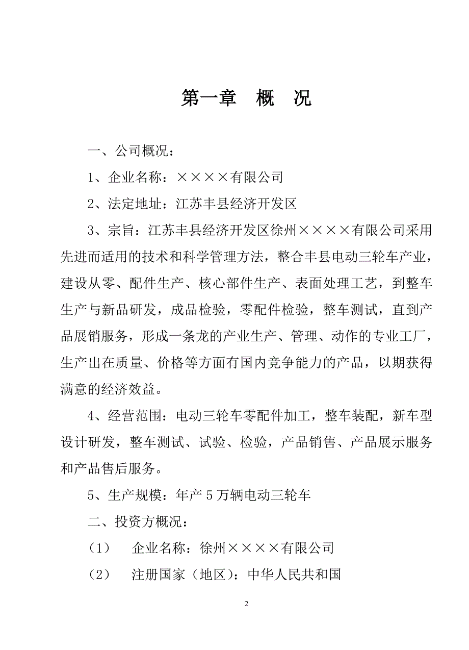 电动车项目建议书_第2页