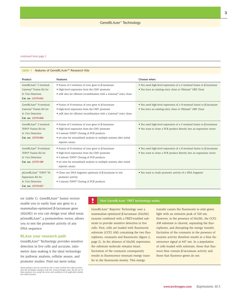 invitrogen 提供资料 expressions 2003-09-5_第3页