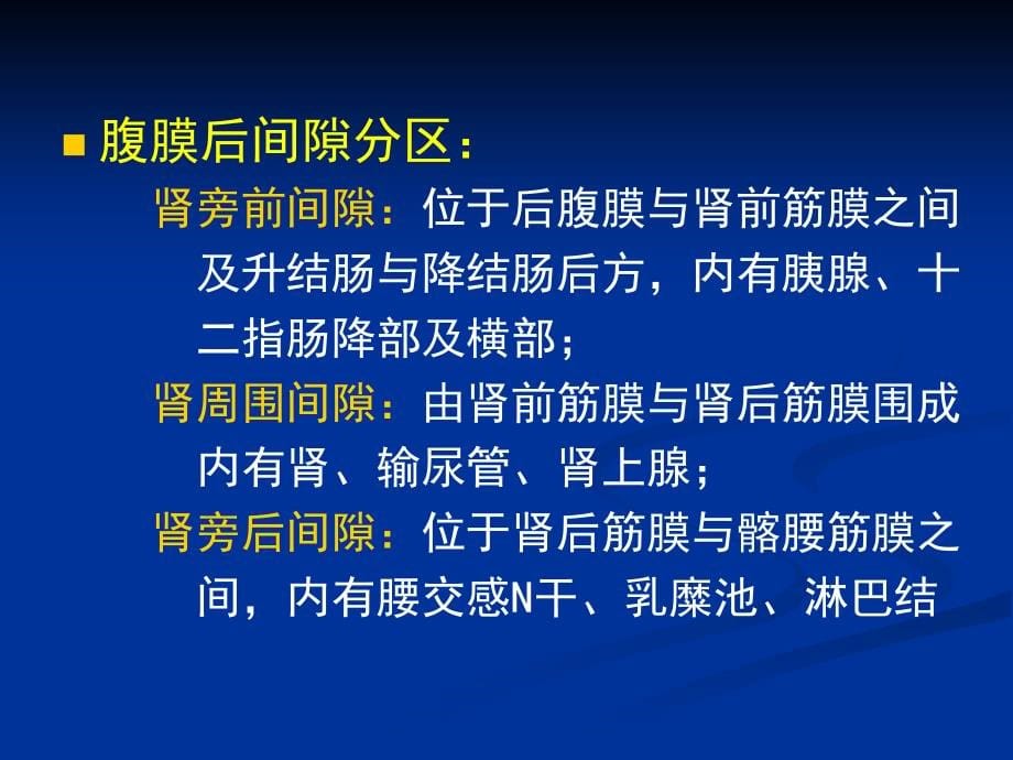 腹膜后大血管及肾上腺的超生诊断PPT课件_第5页