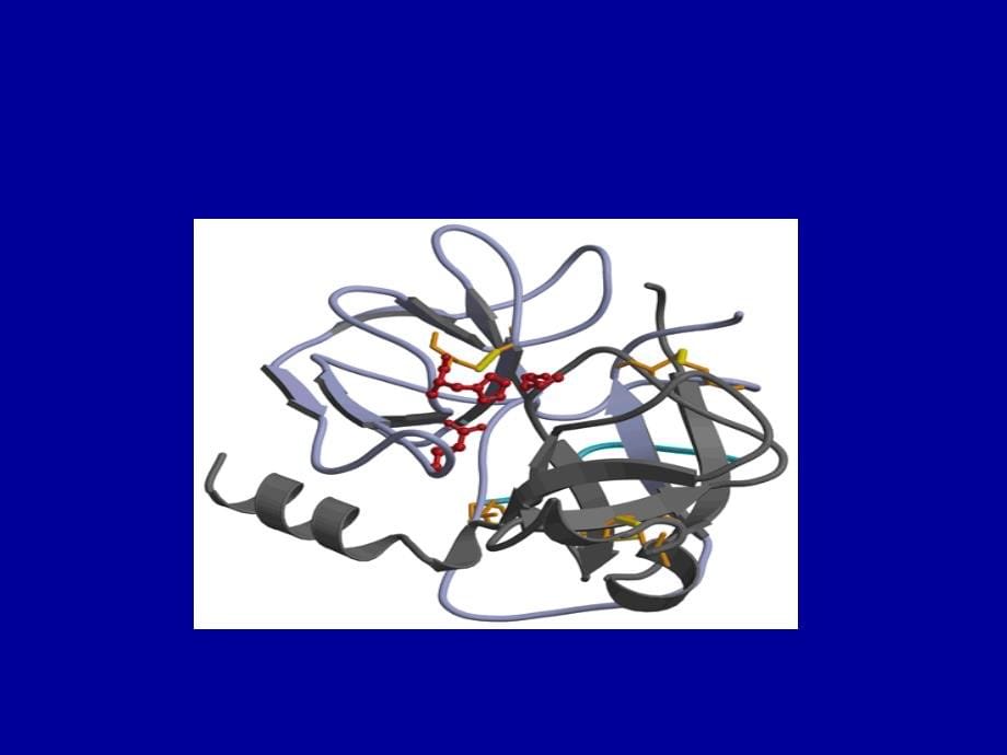 生物学-蛋白质的分离纯化和表征_第5页