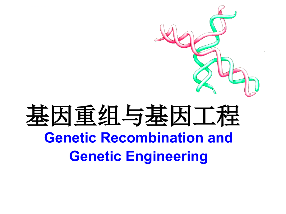 16 重组dna技术与蛋白质工程1_第1页