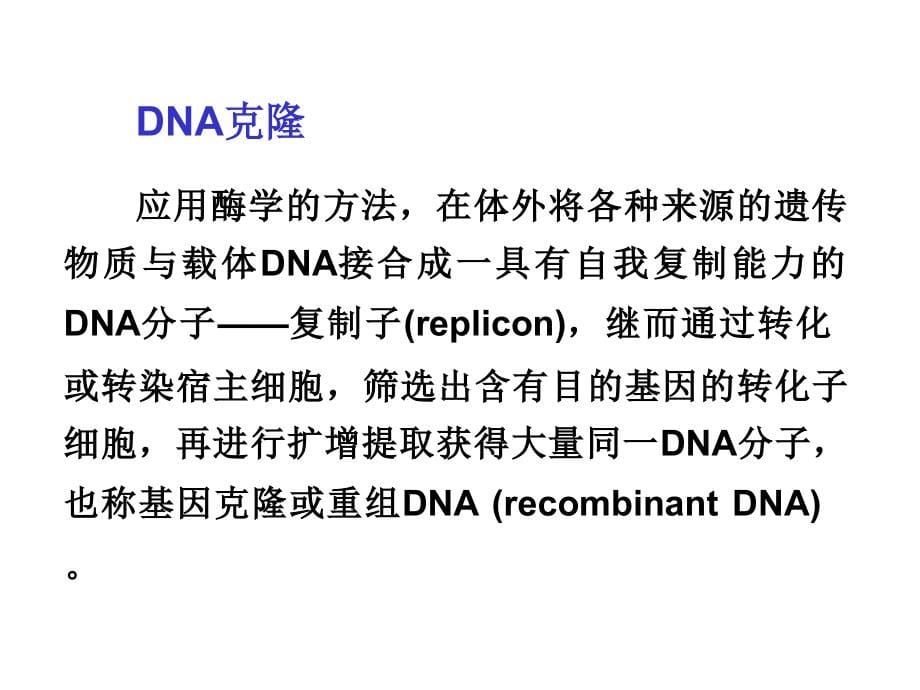 16 重组dna技术与蛋白质工程1_第5页