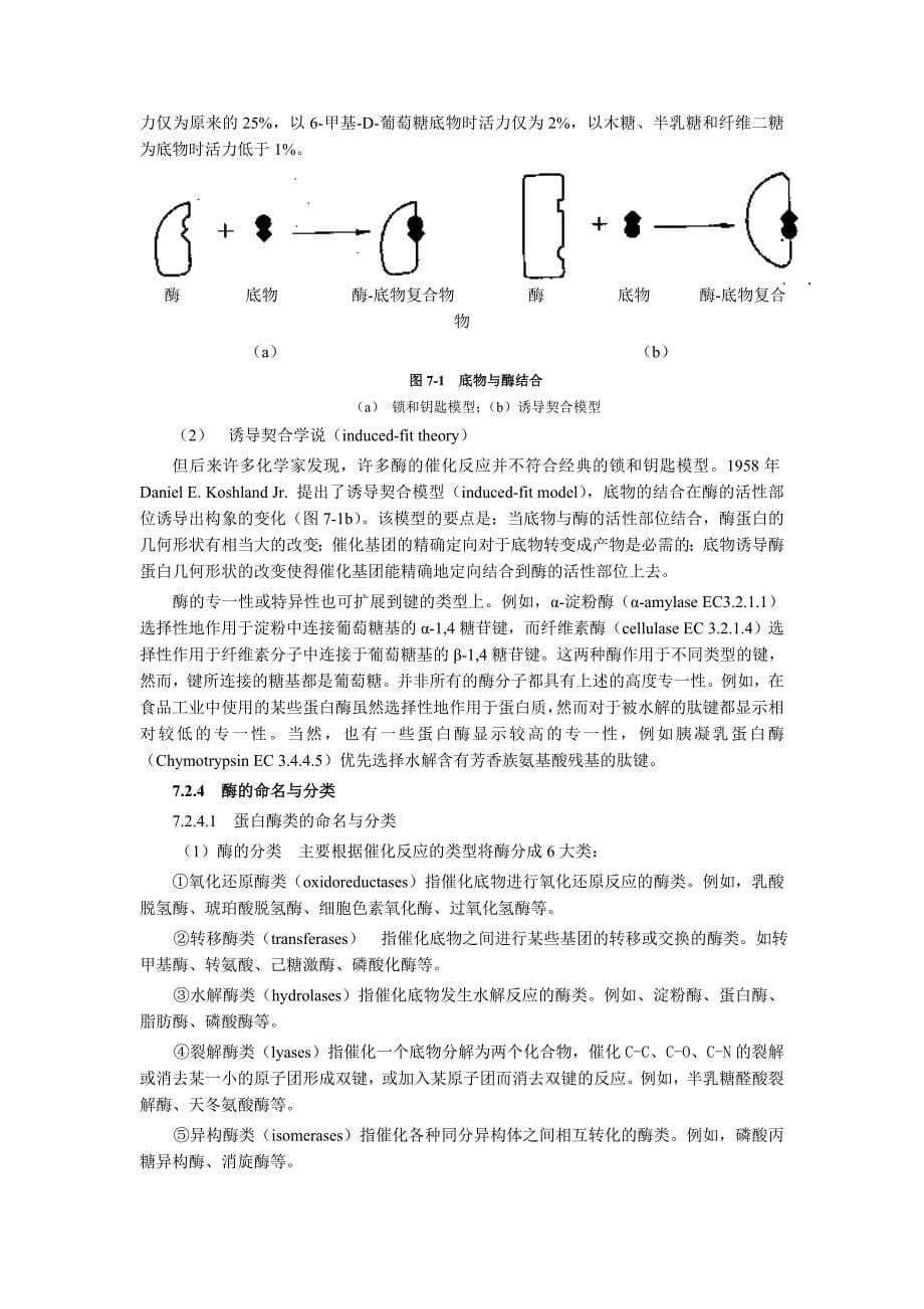 酶在食品科学中的重要性_第5页