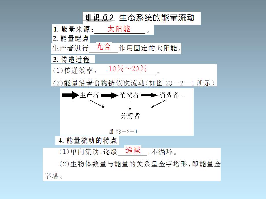 生物：..《生态系统的结构和功能》课件-(北师大版八级下)_第3页