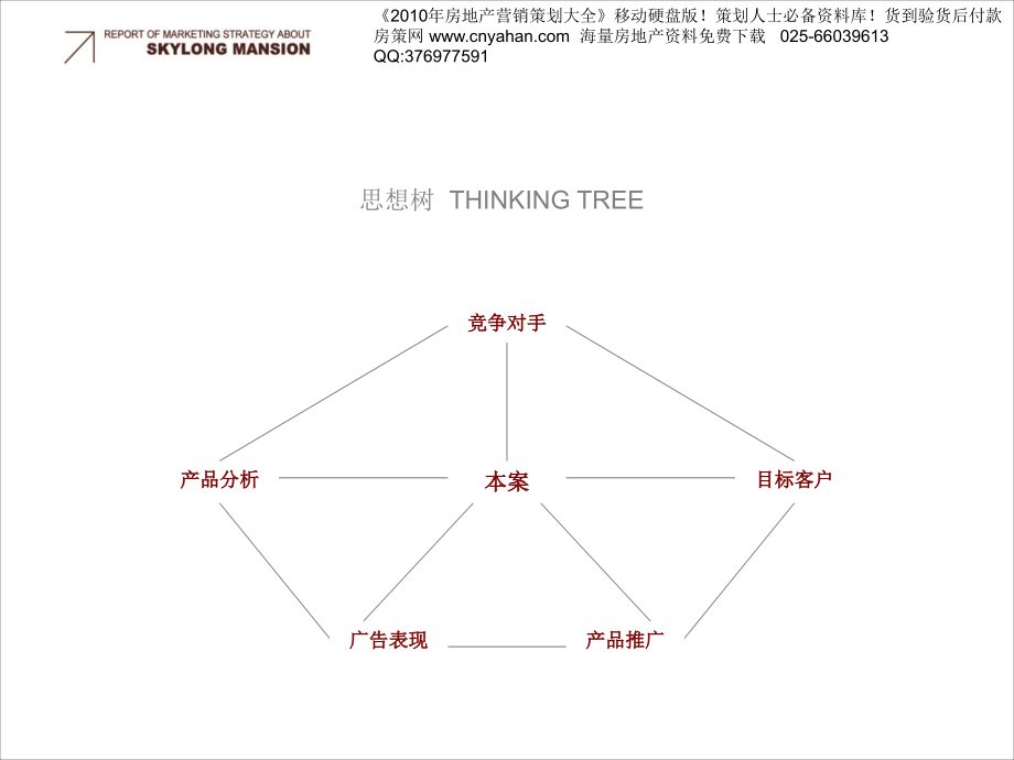 合美_福建漳州天隆名府营销策略提案_139PPT_2009年_第2页