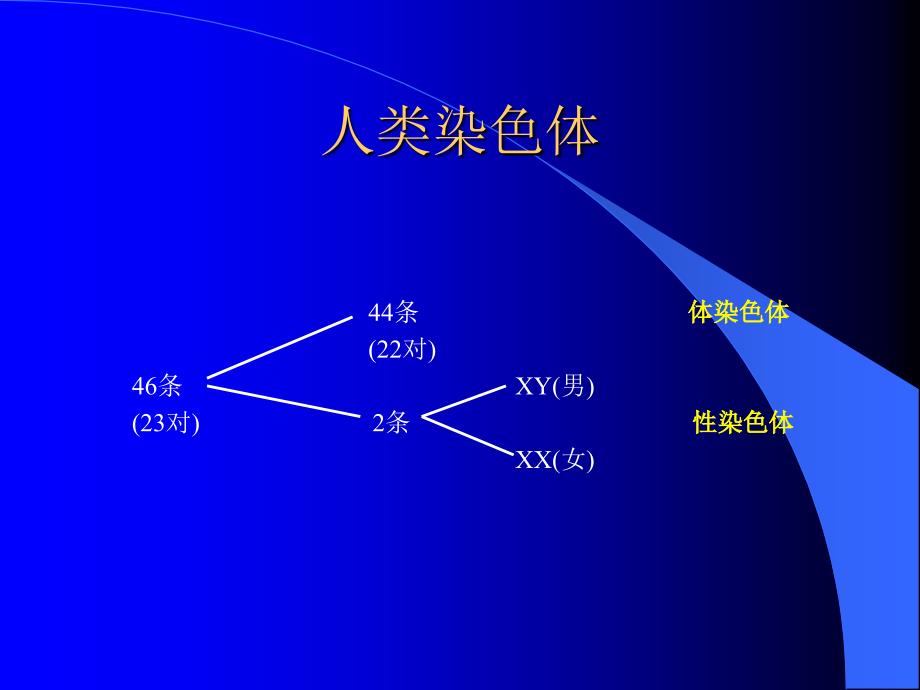 唐氏筛查综合症_第4页