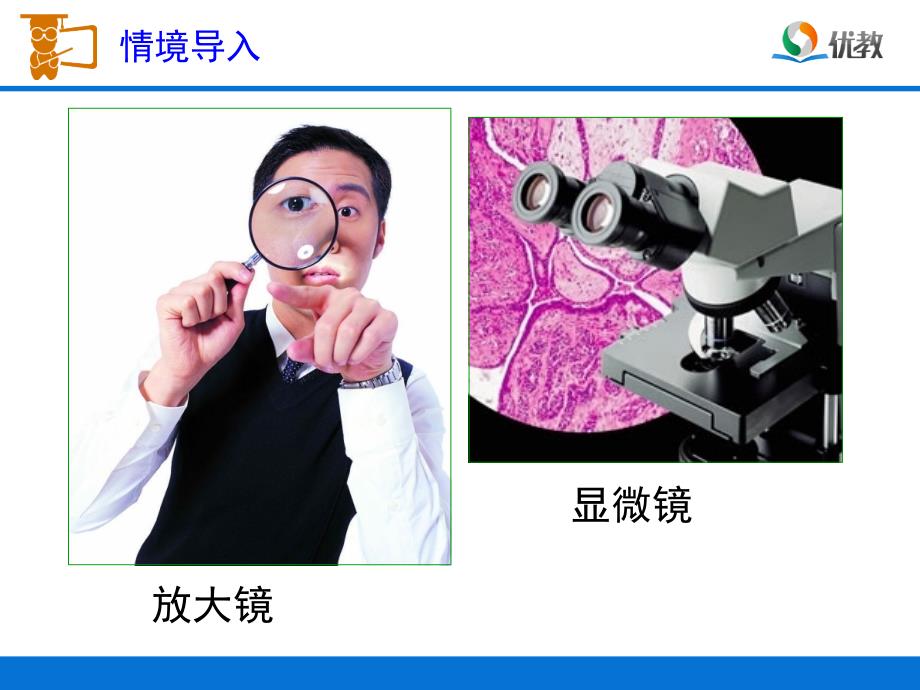 新人教版六年级下册数学《图形的放大与缩小》_第2页