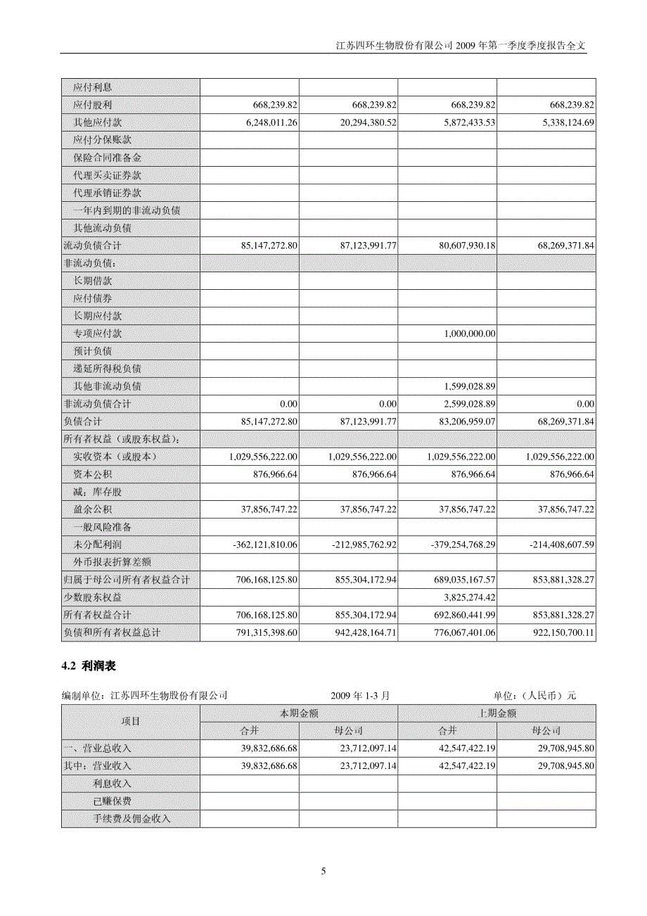 江苏四环生物公司,报告_第5页