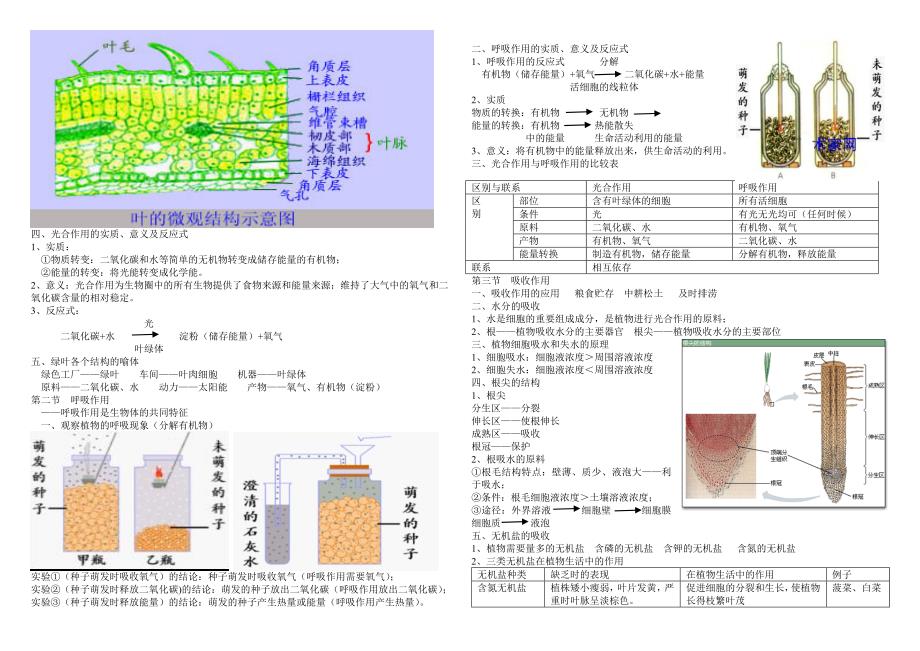 北师大版生物七级上册学习提纲_第4页