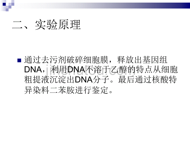 生物学-DNA的粗提与鉴定_第5页