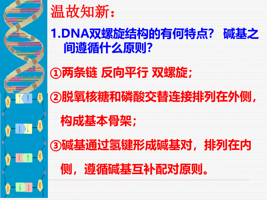 DNA分子复制课件_第1页