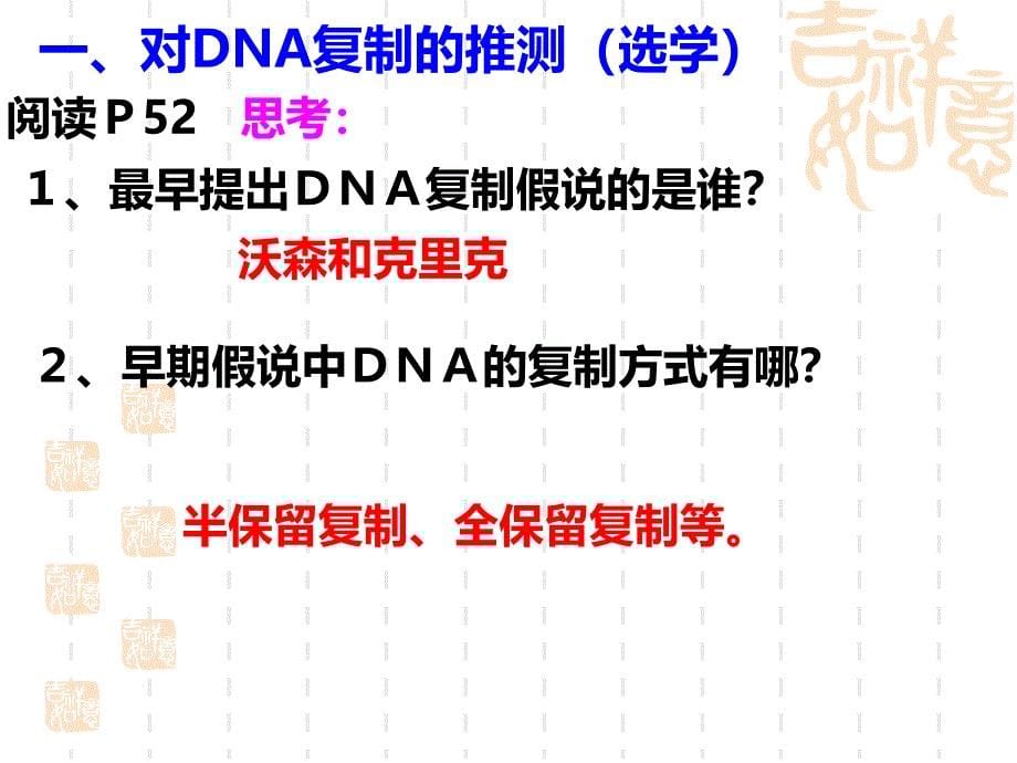 DNA分子复制课件_第5页