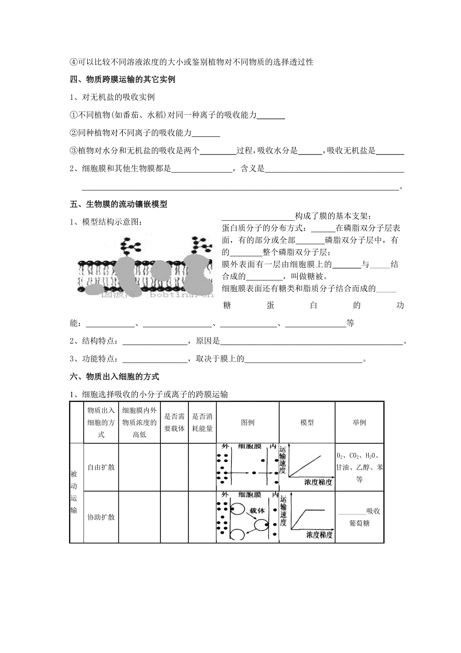 生物细胞代谢(二)_第3页