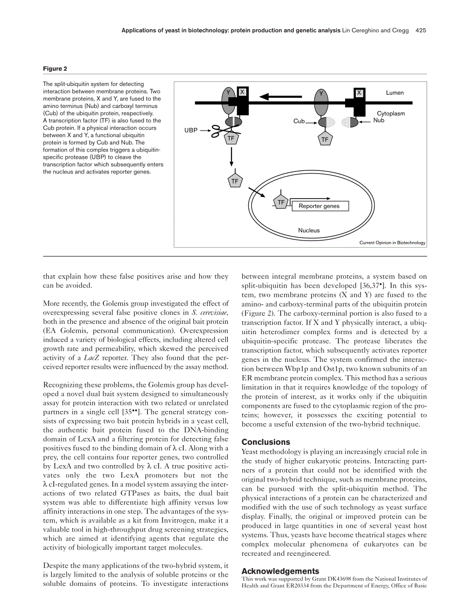 基因,蛋白,免疫 课程之蛋白组学 2_第4页