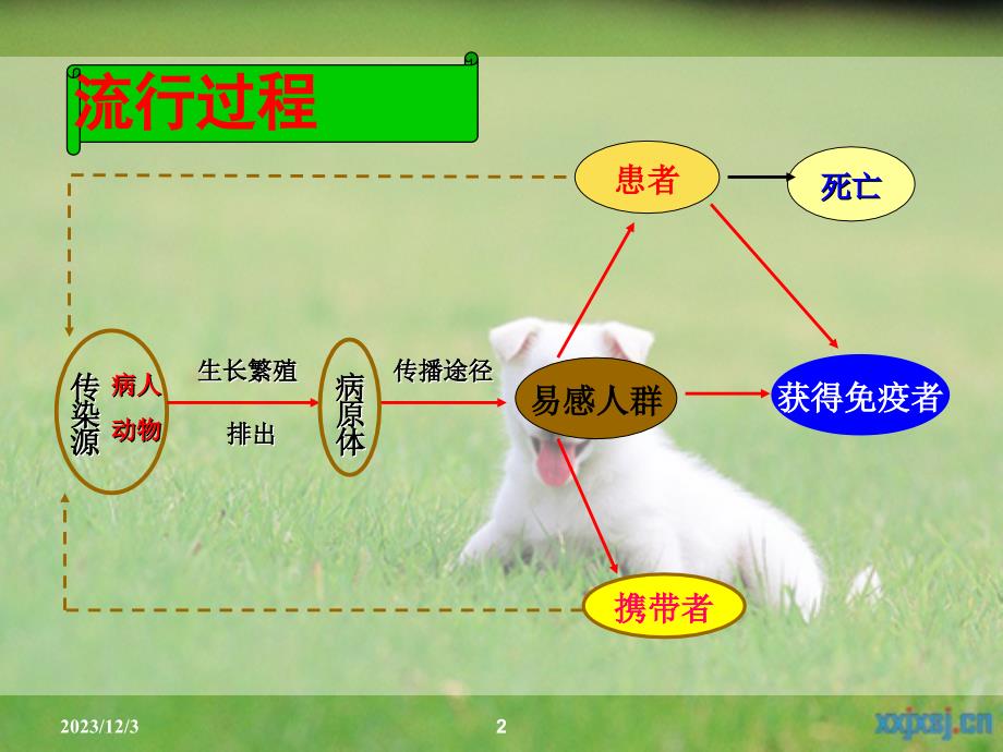 学校传染病控制_第2页