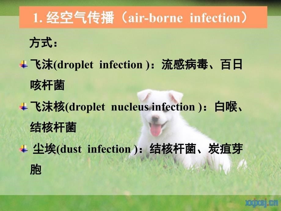 学校传染病控制_第5页