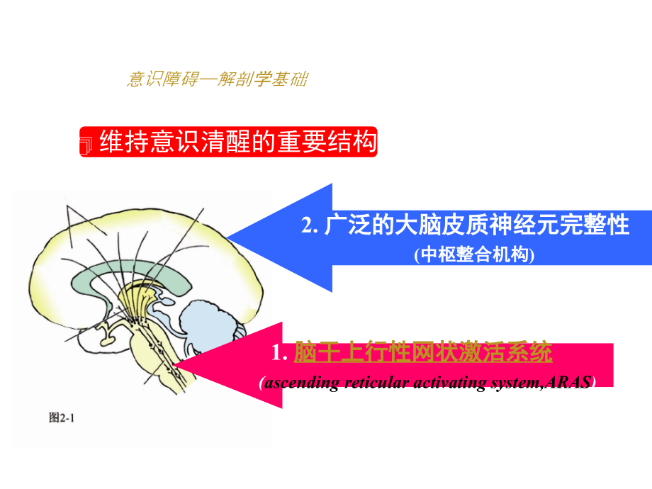 精神医学总论-症状课件_第4页